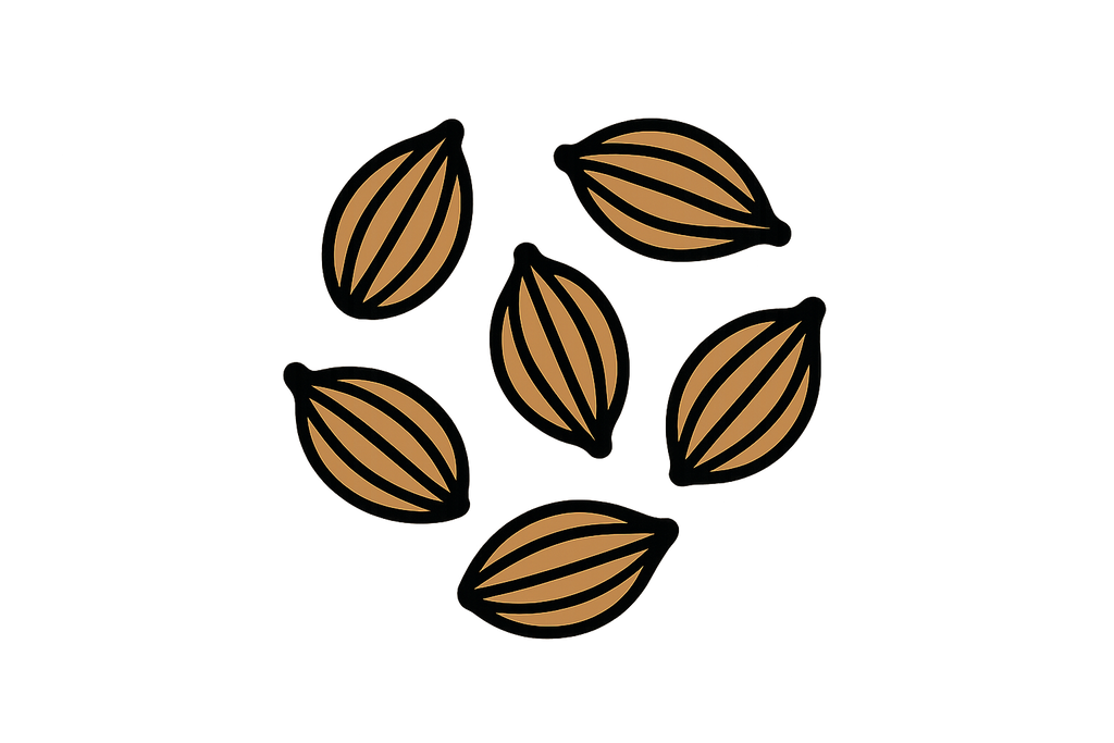Icon for anise seeds