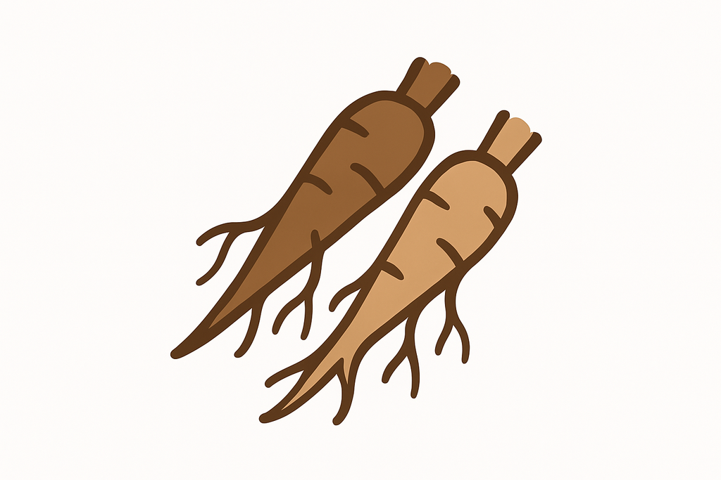 icon for chicory roots